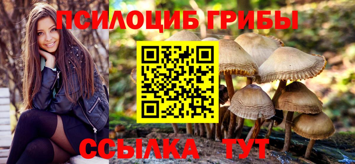 Псилоцибиновые грибы MAGIC MUSHROOMS Владикавказ