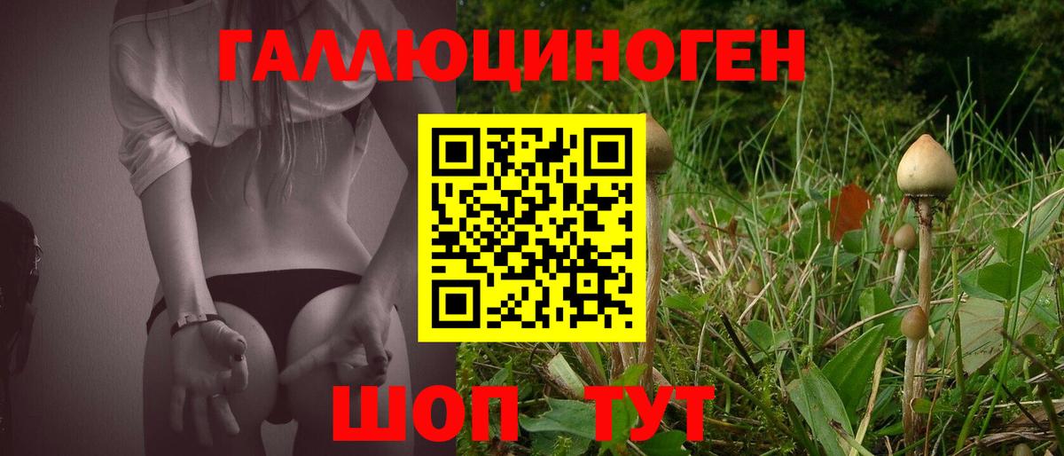 Владикавказ  Псилоцибиновые грибы мухоморы  Вход с VPN  Псилоцибиновые грибы MAGIC MUSHROOMS 
